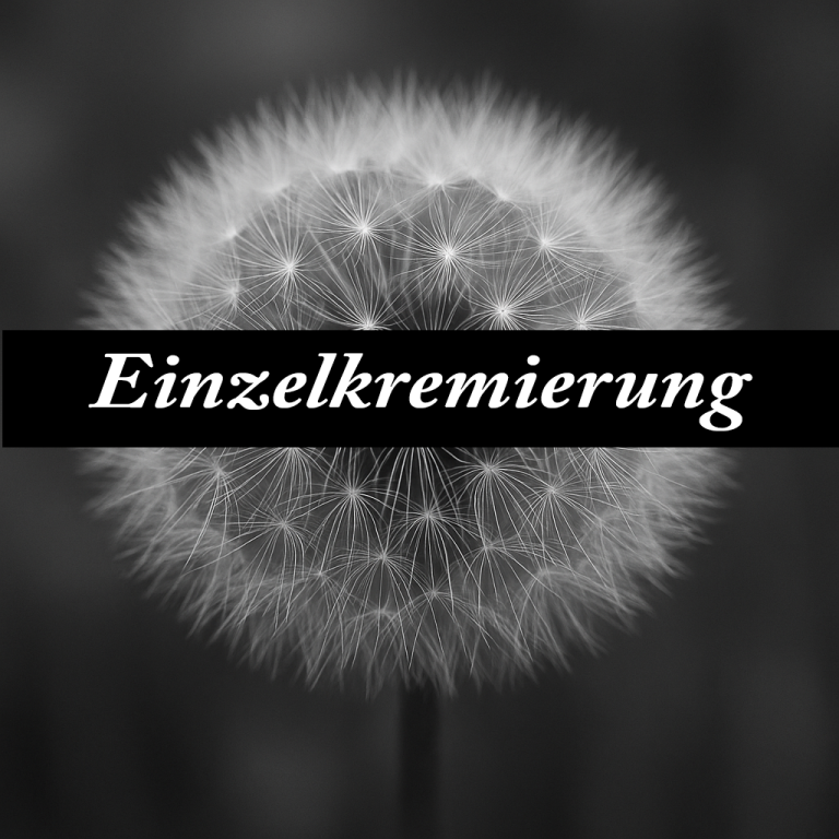 Ihr Haustier wird separat eingeäschert. Sie bekommen die Asche von Ihrem Haustier wieder zurück. So haben Sie die Möglichkeit, sich für die richtige Bestattung und die richtige Urne zu entscheiden.